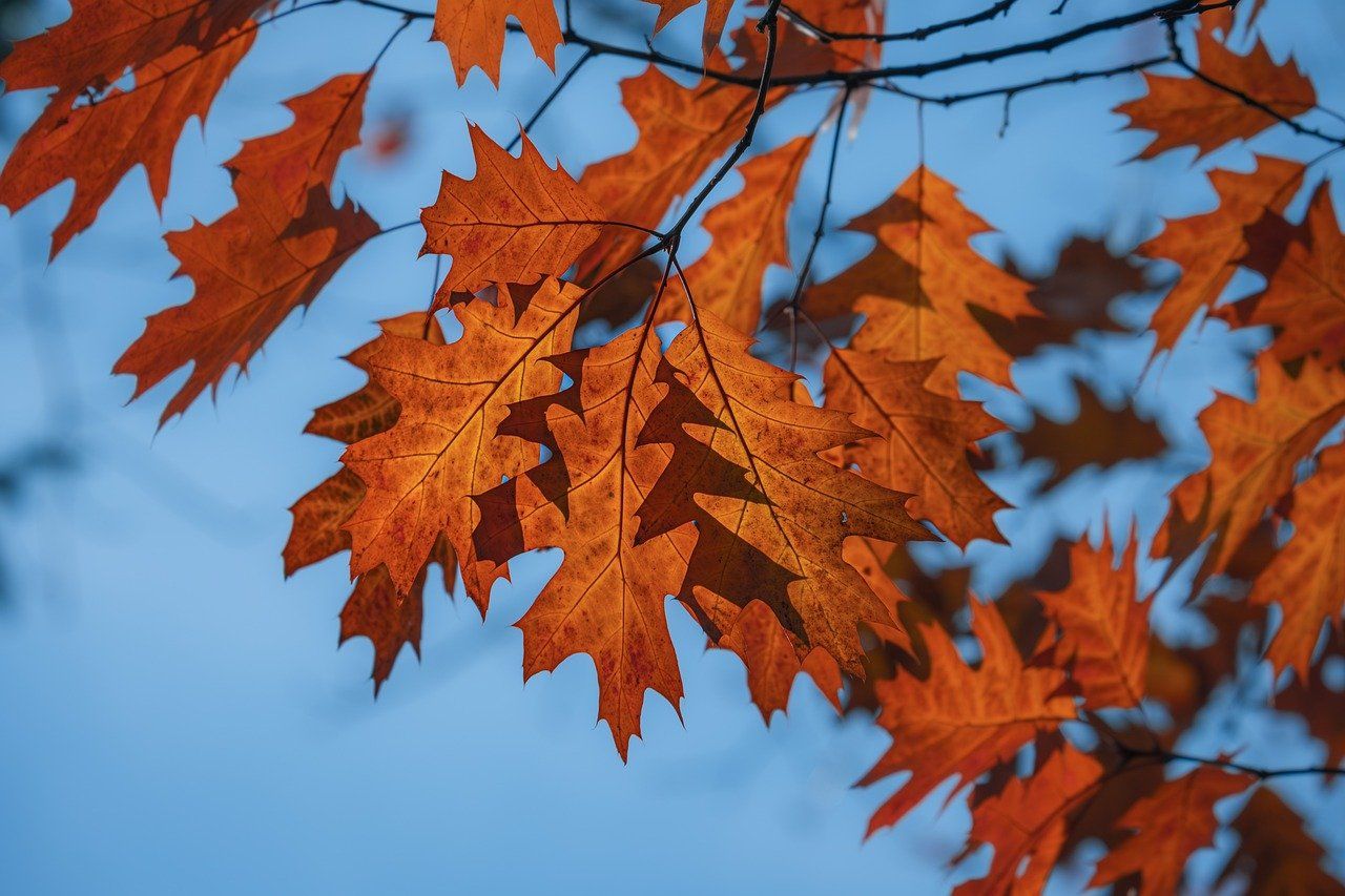 thumbnail of the cover of the post